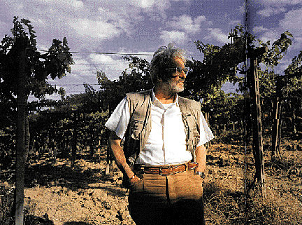 EDOARDA VALENTINI